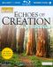 Echoes of Creation