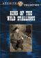 King of the Wild Stallions