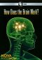 NOVA scienceNOW: How Does the Brain Work?