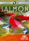 Nature: Salmon - Running the Gauntlet