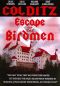 Escape of the Birdmen