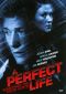 A Perfect Life