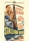 Stallion Road