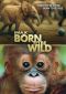 Born to Be Wild