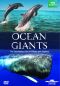 Ocean Giants: Deep Thinkers
