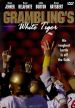 Grambling's White Tiger