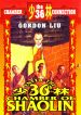 Enter the 36th Chamber of Shaolin