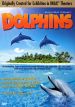 Dolphins
