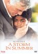 A Storm in Summer