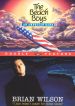 The Beach Boys: An American Band
