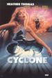 Cyclone