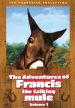 Francis Covers the Big Town