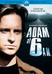 Adam at 6 a.m.