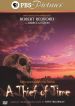 A Thief of Time