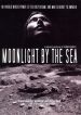 Moonlight by the Sea