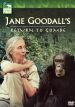 Jane Goodall's Return to Gombe