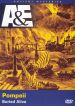 Ancient Mysteries: Pompeii - Buried Alive