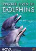 NOVA: Private Lives of Dolphins