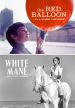 Crin Blanc