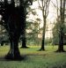 Jandek: Brooklyn Wednesday