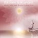 Mark Reem and Shanee Whitwell: The Pure Love Project