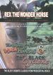 The King of the Wild Horses