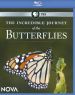 NOVA: The Incredible Journey of the Butterflies