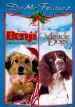 Miracle Dogs