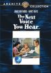 The Next Voice You Hear