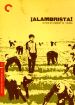 Alambrista!