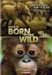 Born to Be Wild