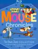 House Hunting Mice