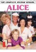 Alice: Love Is a Free Throw