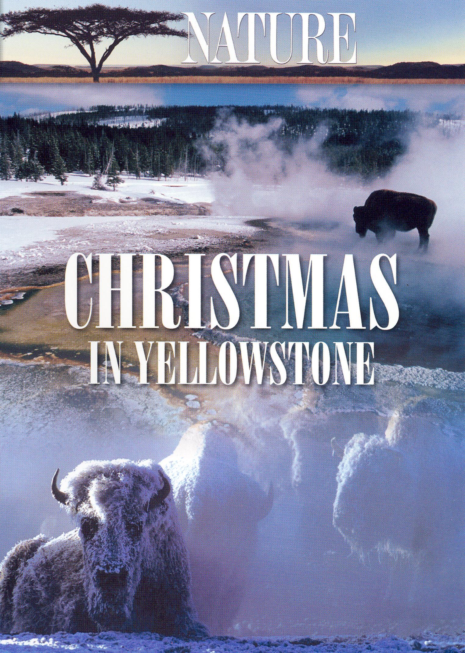 Nature: Christmas in Yellowstone