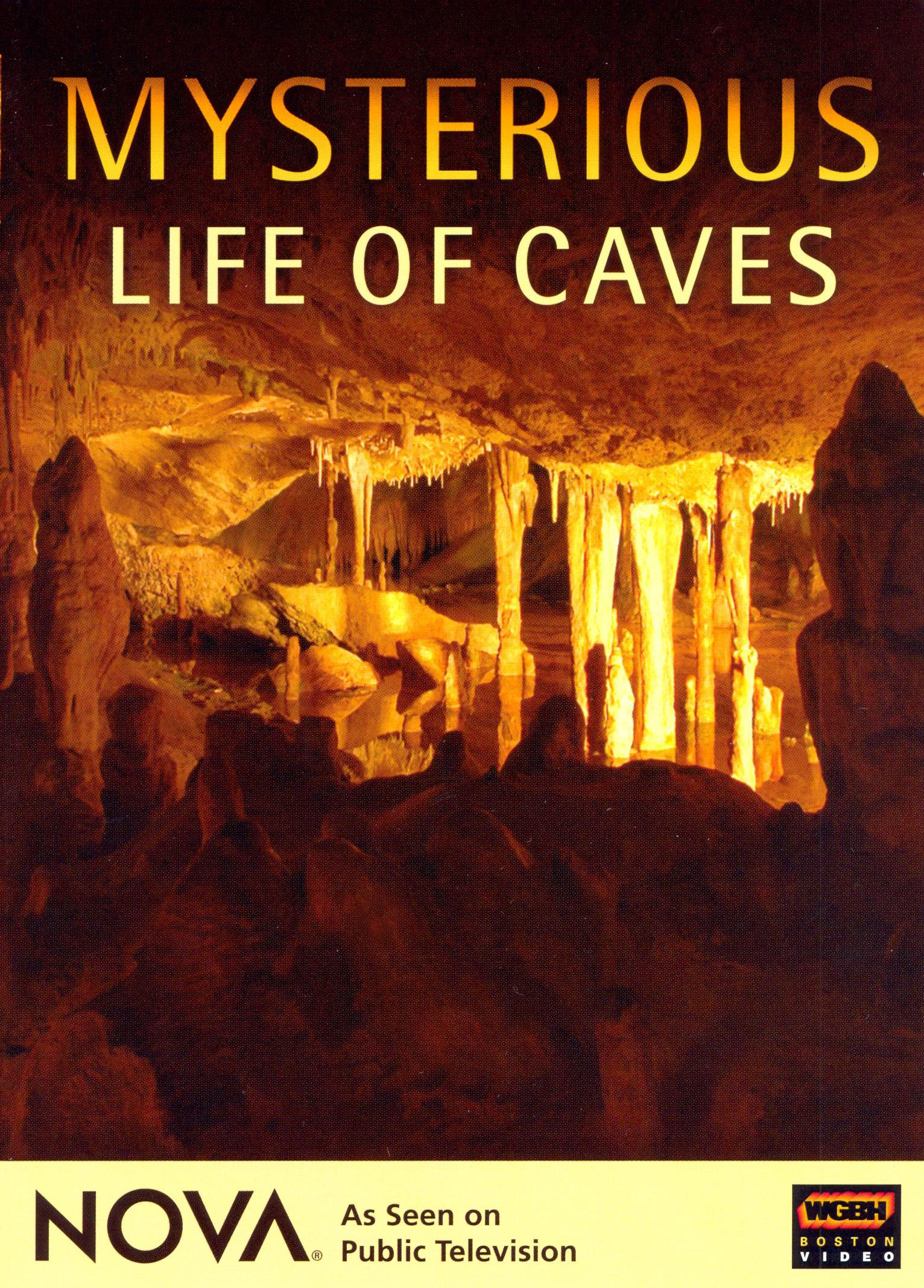 NOVA: Mysterious Life of Caves