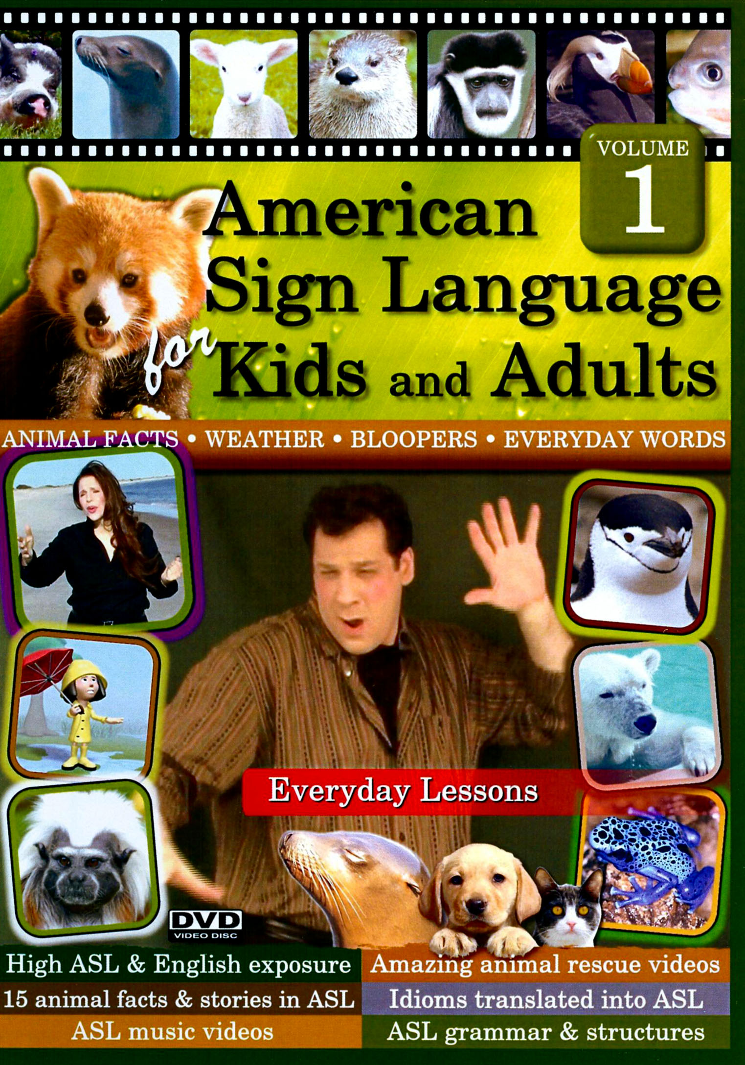 Best sign language dvd for adults