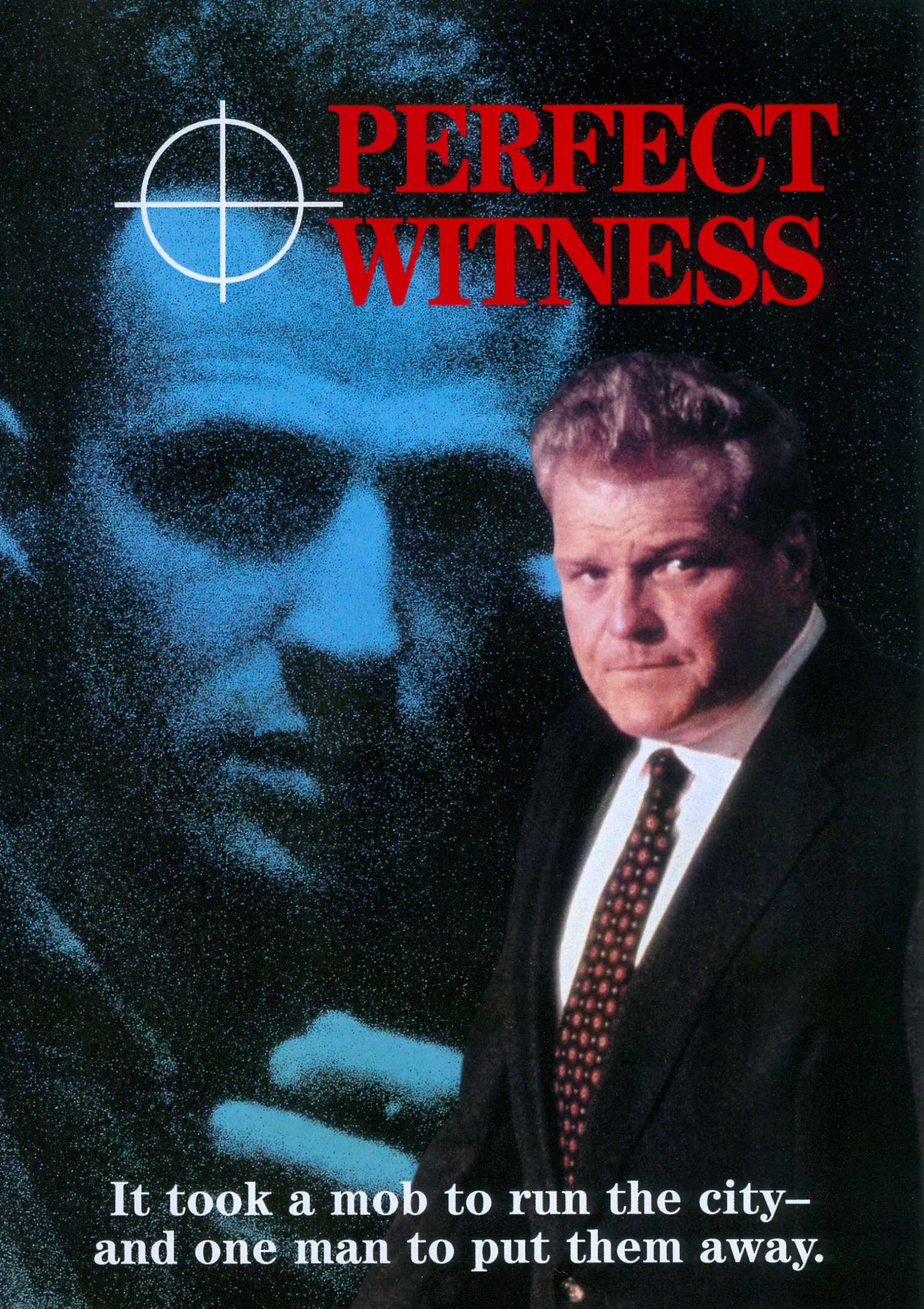 Perfect Witness