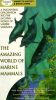 The Amazing World of Marine Mammals