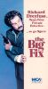 The Big Fix