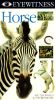 Eyewitness: Horse