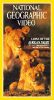 National Geographic: Lions of the African Night