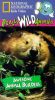 National Geographic Really Wild Animals: Awesome Animal Builders
