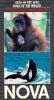 NOVA: Signs of the Apes, Songs of the Whale
