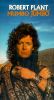 Robert Plant: Mumbo Jumbo