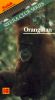 Sierra Club Series: Orangutan