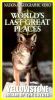 National Geographic: Yellowstone - Realm of the Coyote