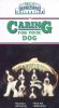 Caring For Your Dog