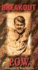 Breakout: Prisoner of War Escapes