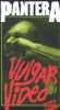 Pantera: Vulgar Video
