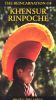 The Reincarnation of Khensur Rinpoche: A True Story of Tibetan Faith